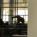 IMG 0353